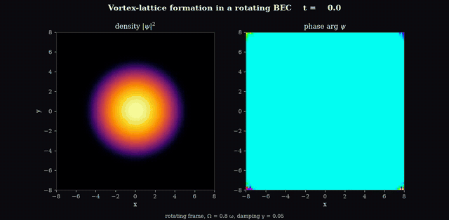 Vortex lattice formation