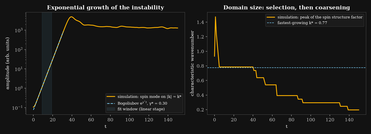 Growth of the instability