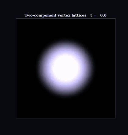 Interlaced vortex lattices